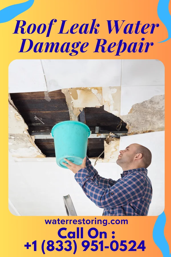 Roof Leak Water Damage Repair in Lincoln Park, NY