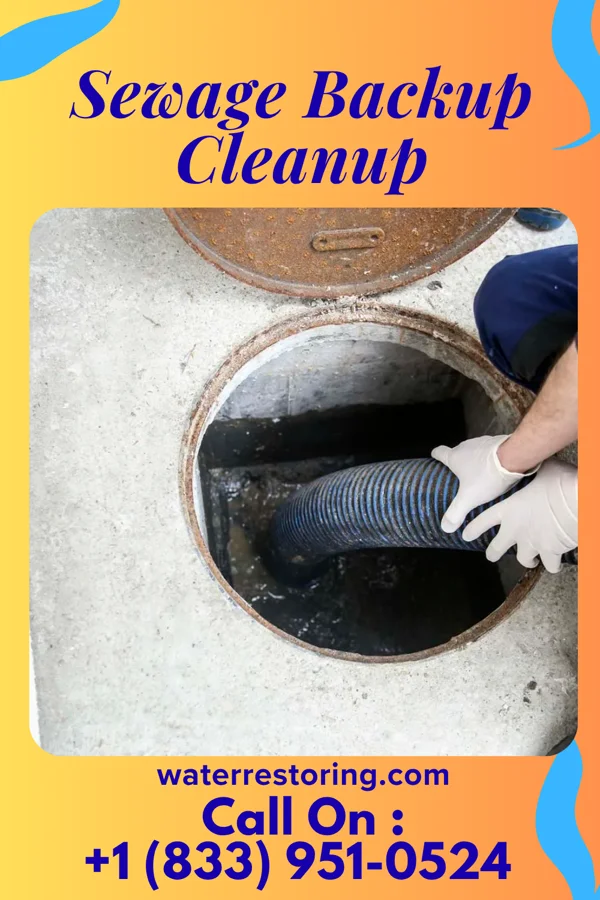Sewage Backup Cleanup in Lincoln Park, NY