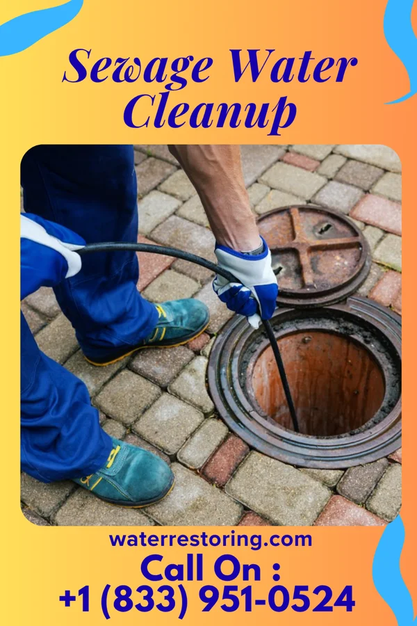 Sewage Water Cleanup in Lincoln Park, NY