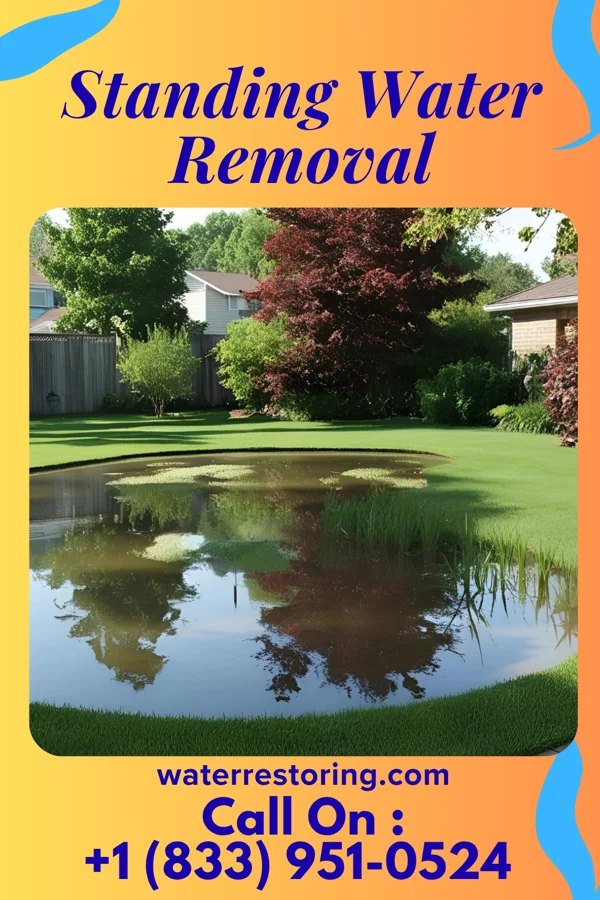 Standing Water Removal in Lincoln Park, NY